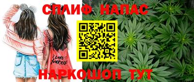 МДПВ Волжск